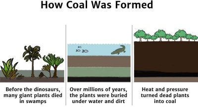 Formation Of Fossil Fuels Diagram
