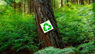 Reduce, Reuse, Recycle Sign on Tree